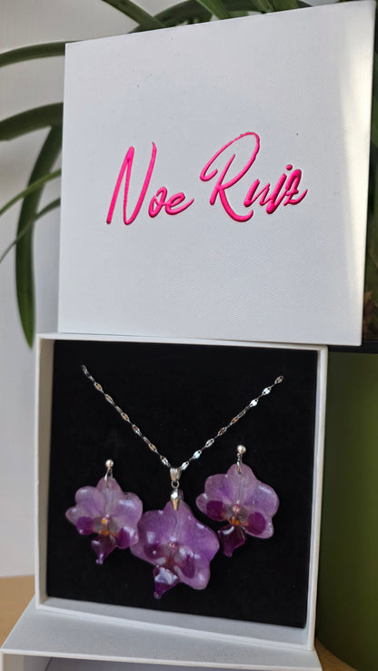 Conjunto orquidea Phalaenopsis