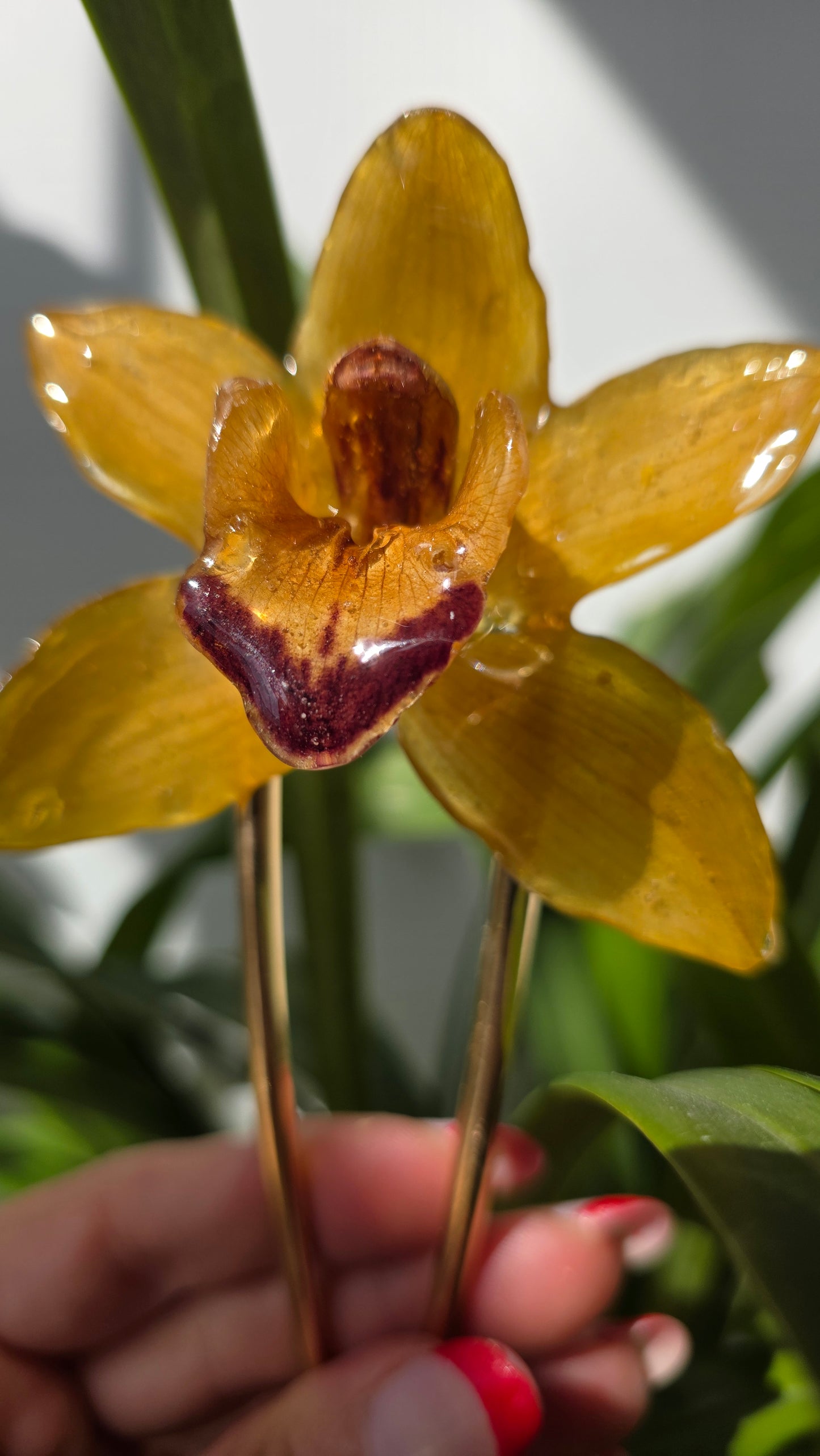 Horquilla de orquidea real