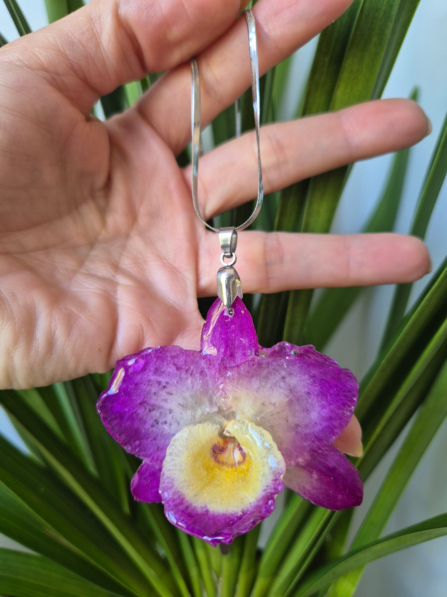 Colgante orquídea  Dendrobium