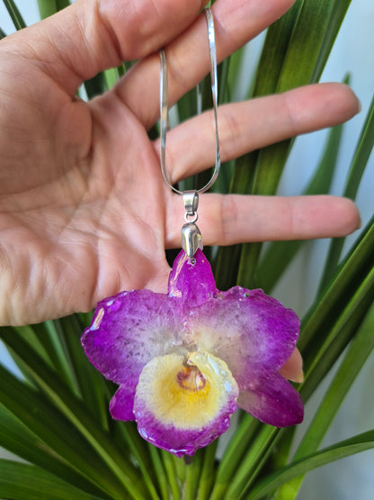 Colgante orquídea  Dendrobium