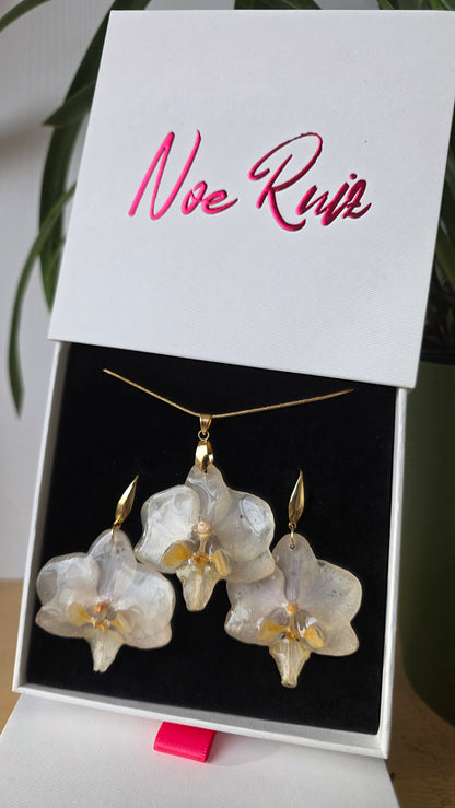 Conjunto orquidea Phalaenopsis