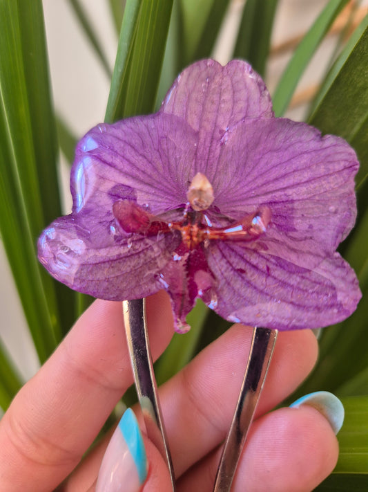 Horquilla de orquidea real