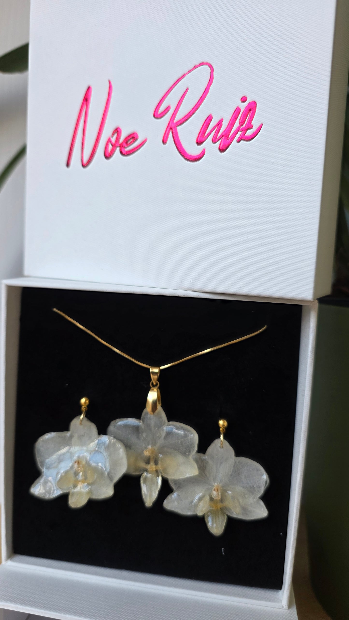 Conjunto orquidea Phalaenopsis