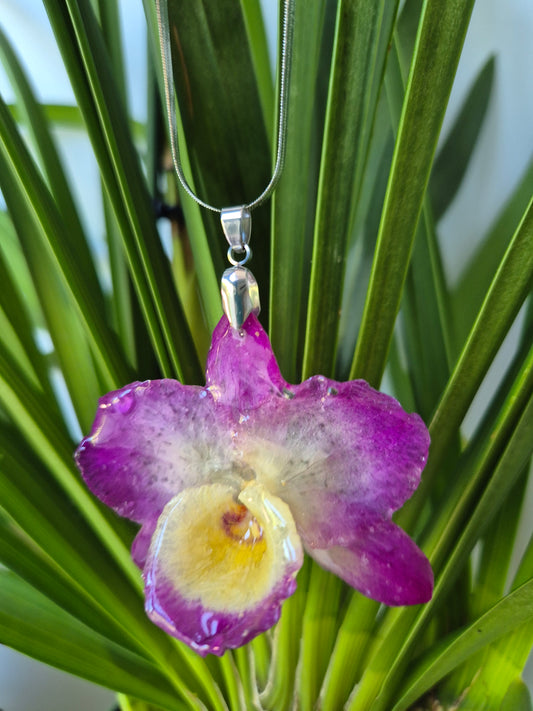Colgante orquídea  Dendrobium