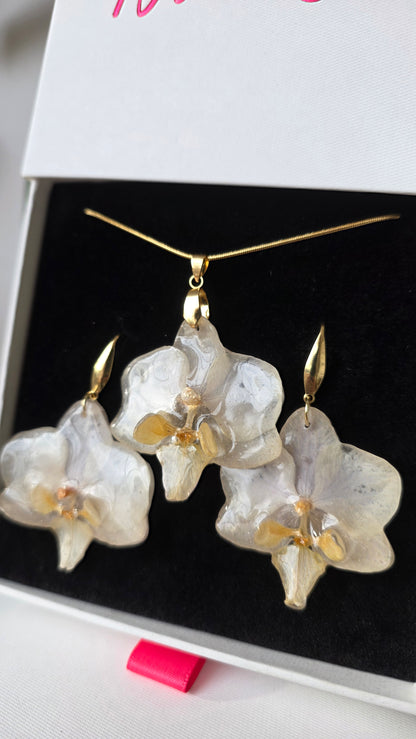 Conjunto orquidea Phalaenopsis