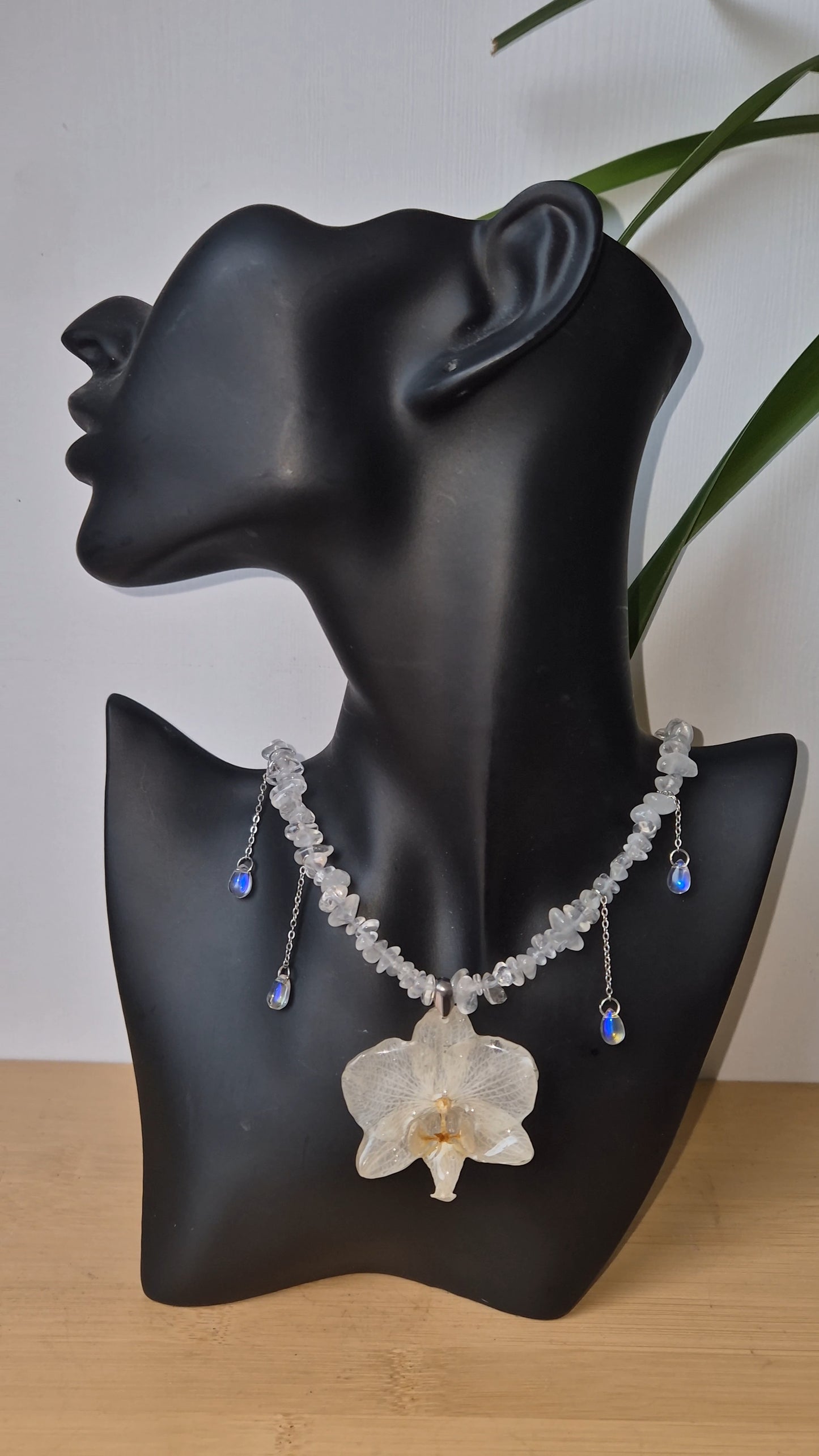 Colgante orquidea Phalaenopsis