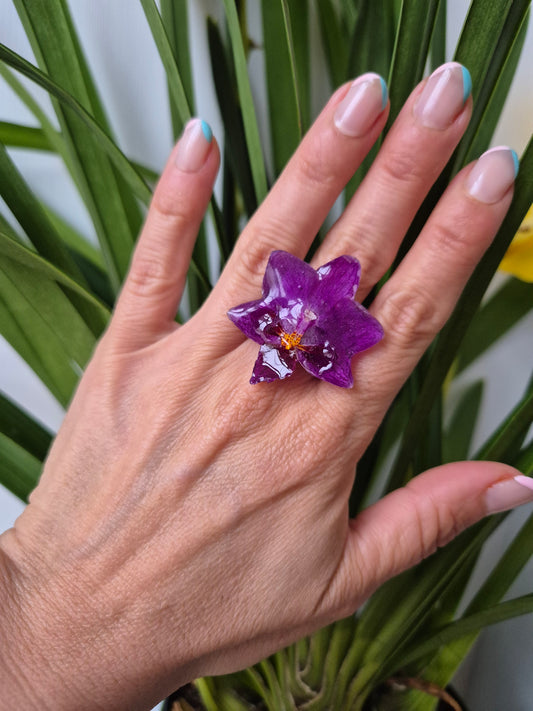 Anillo ajustable orquídea Phalaenopsis