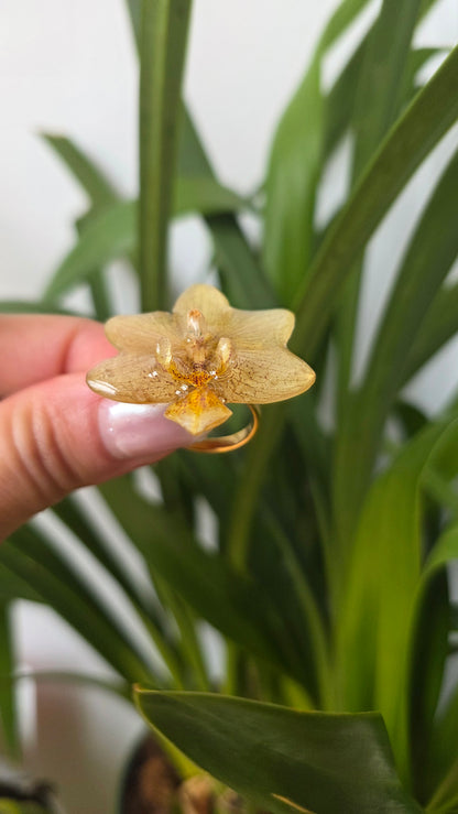 Anillo orquidea amarilla