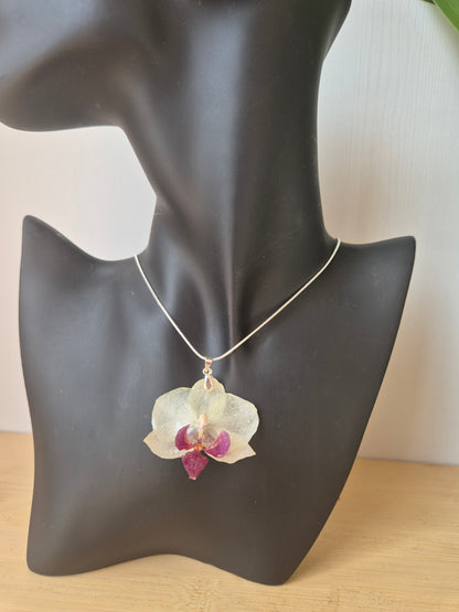 Colgante Orquídea Phalaenopsis Morada