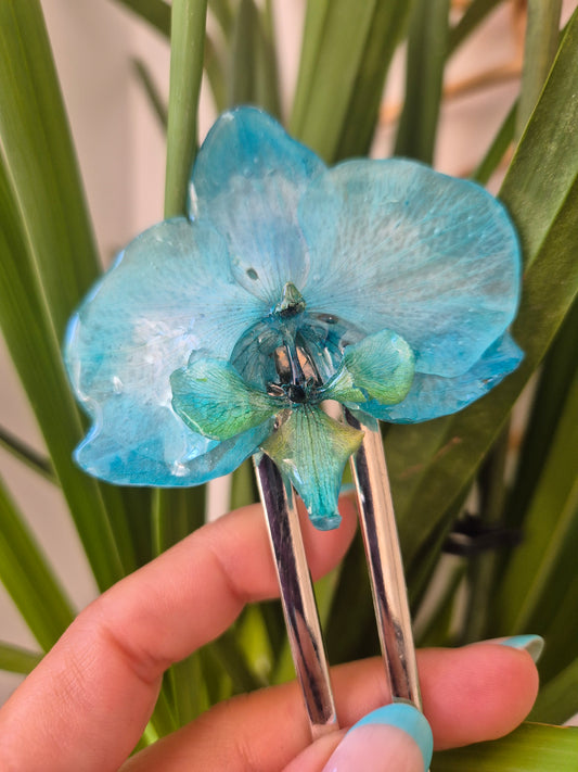 Horquilla de orquidea real