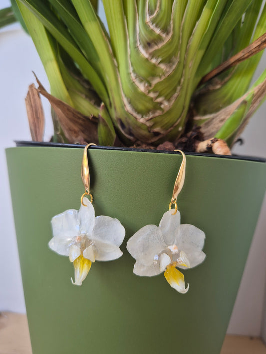 Pendientes orquidea mini