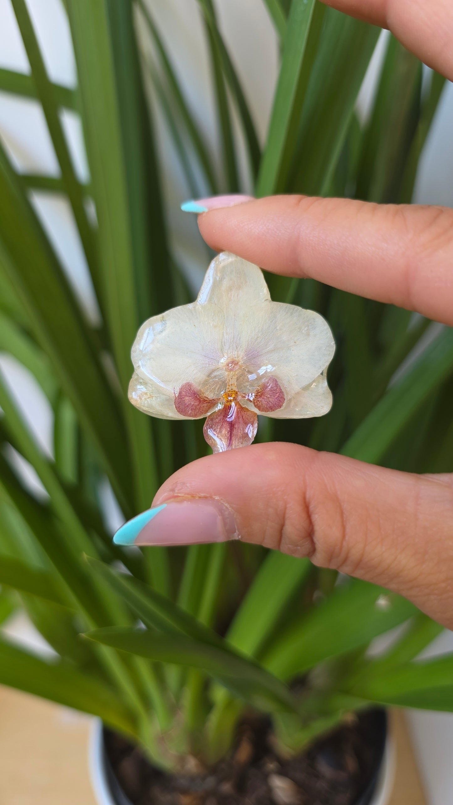 Pendientes orquidea mini