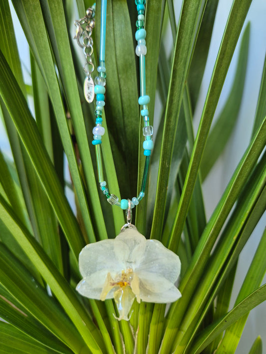 Colgante orquídea  Phalaenopsis blanca