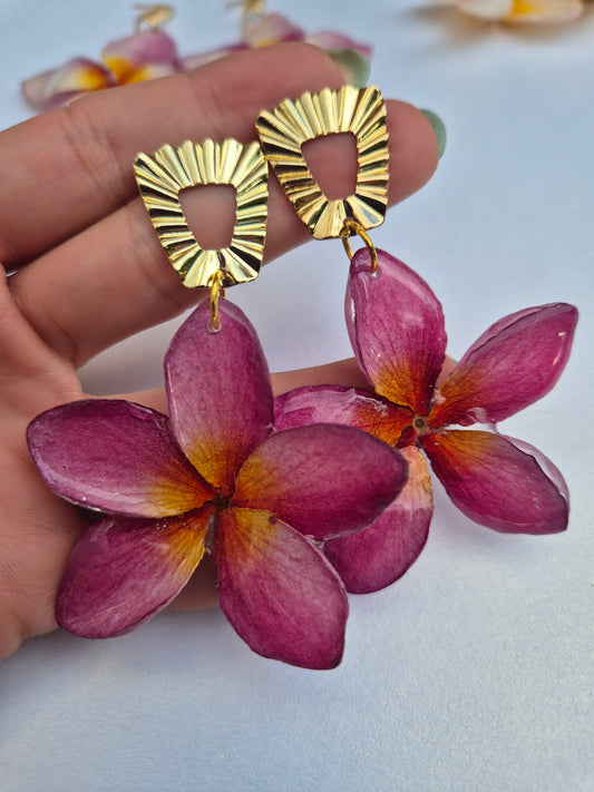 Pendientes plumeria