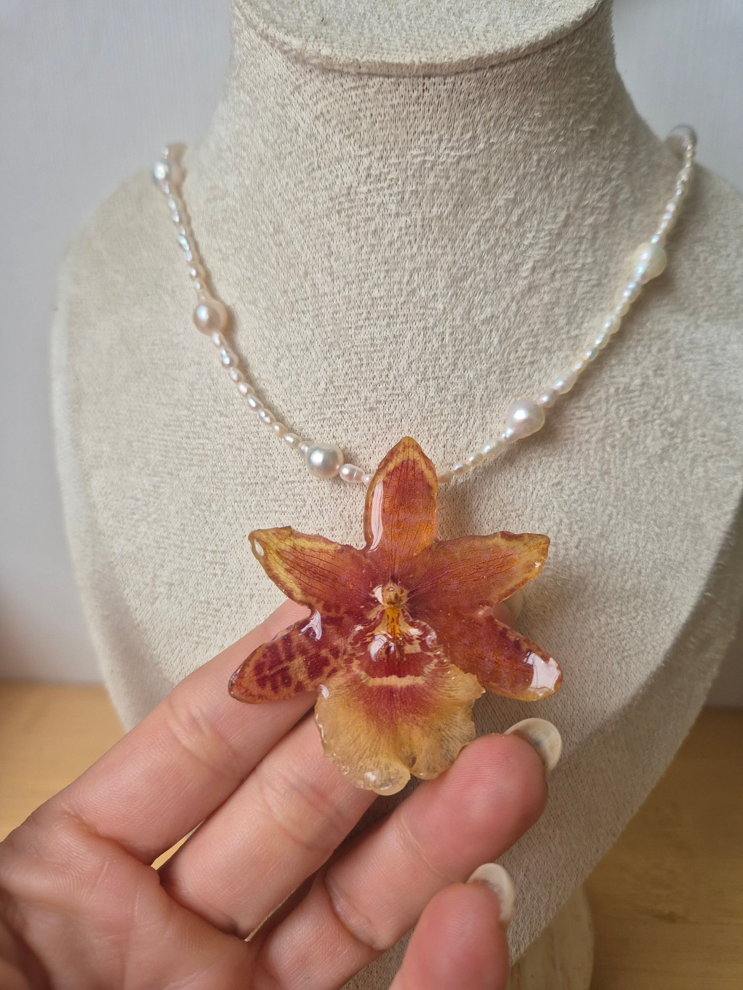 Collar de perlas y orquidea Cambria