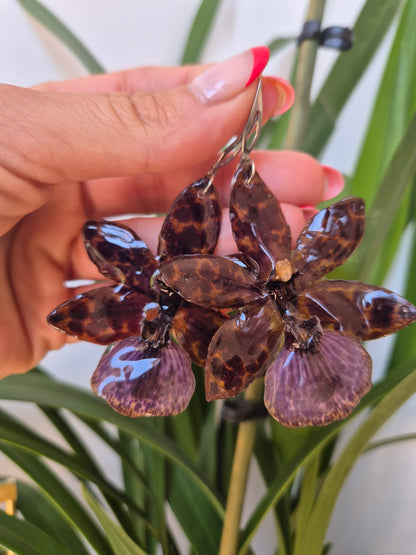 Pendientes orquídea Zygopetalum