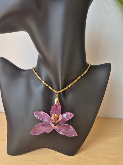 Colgante Orquídea Cymbidium