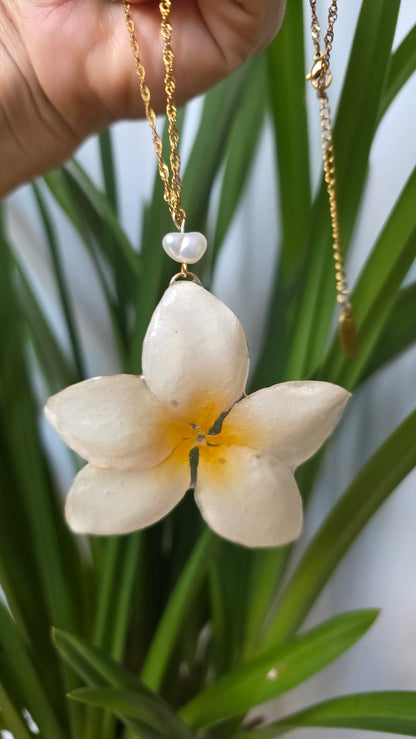 Colgante plumeria