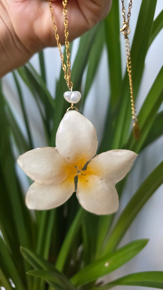 Colgante plumeria