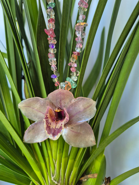 Colgante orquidea cymbidium rosa