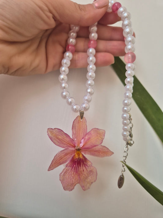 Colgante orquídea  Cymbidium