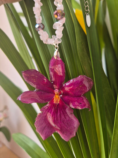Colgante orquídea  Cymbidium