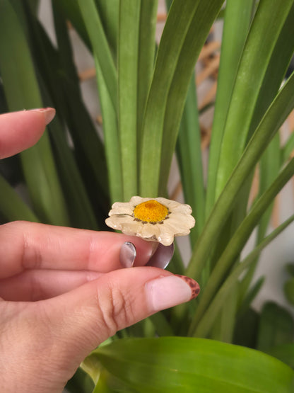 Anillo ajustable margarita