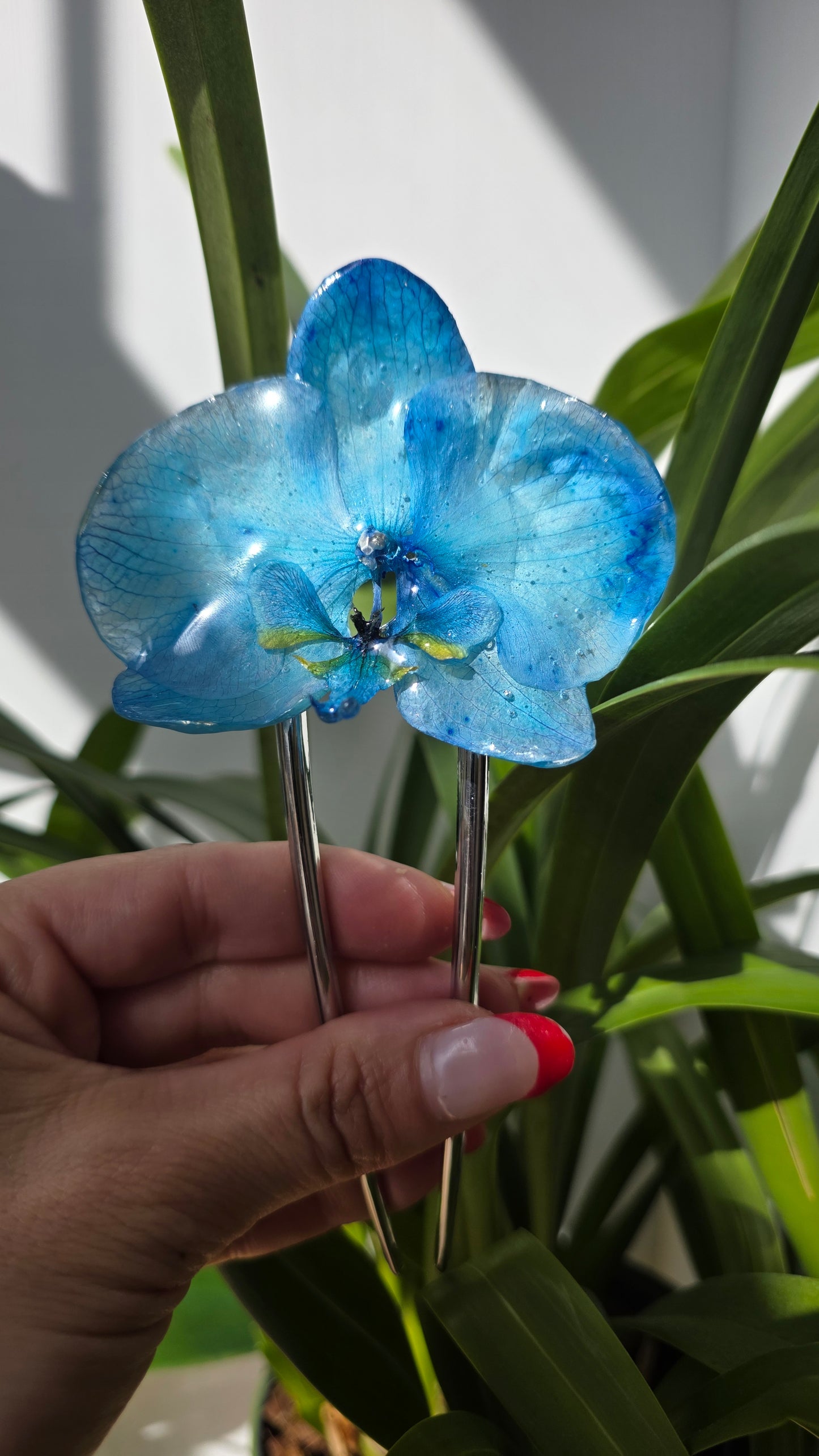 Horquilla de orquidea real