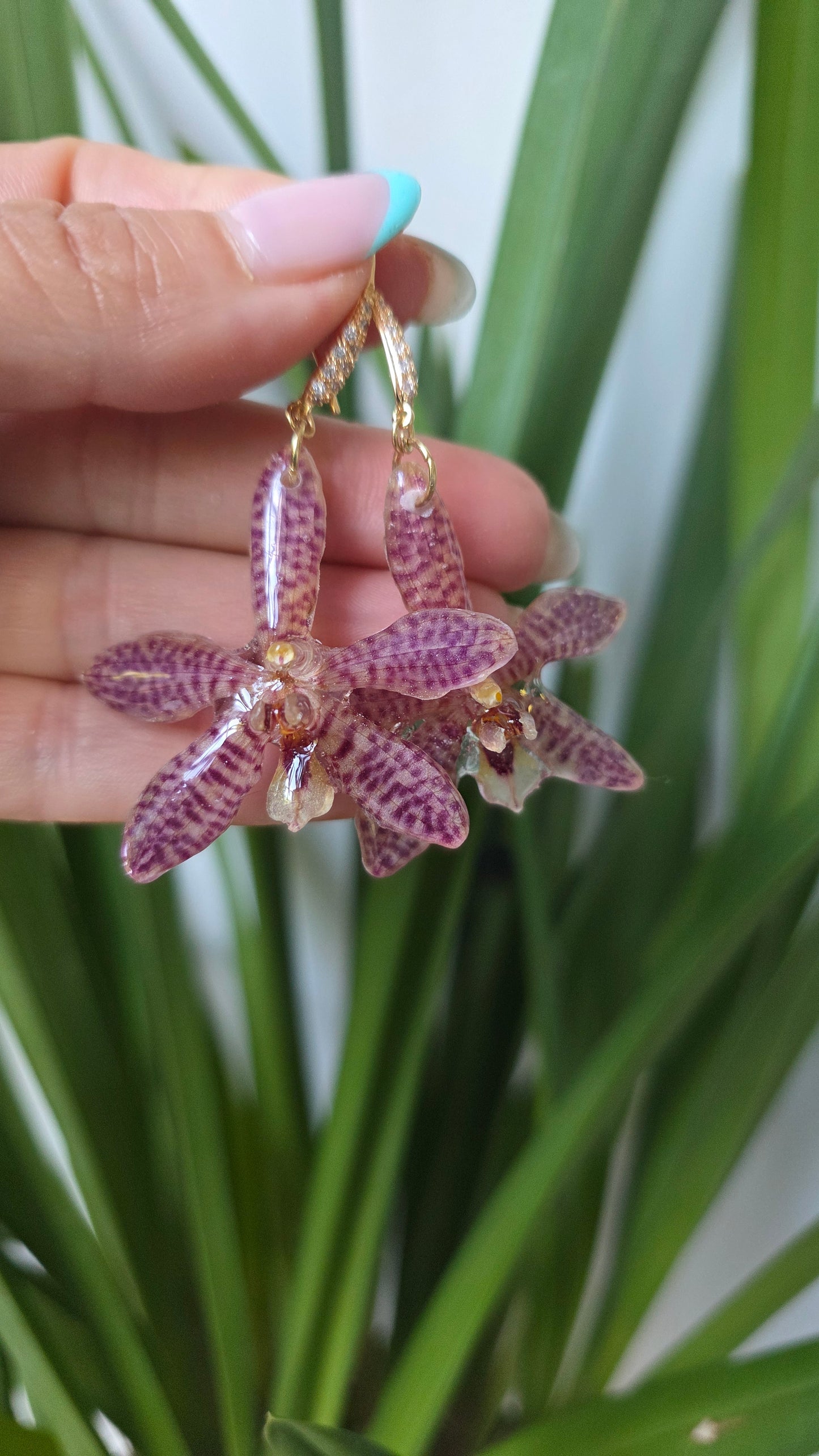 Pendientes orquídea exótica